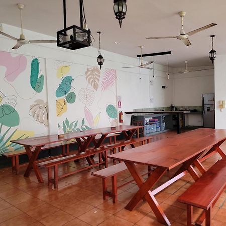 Poco A Poco Hostel León Екстериор снимка