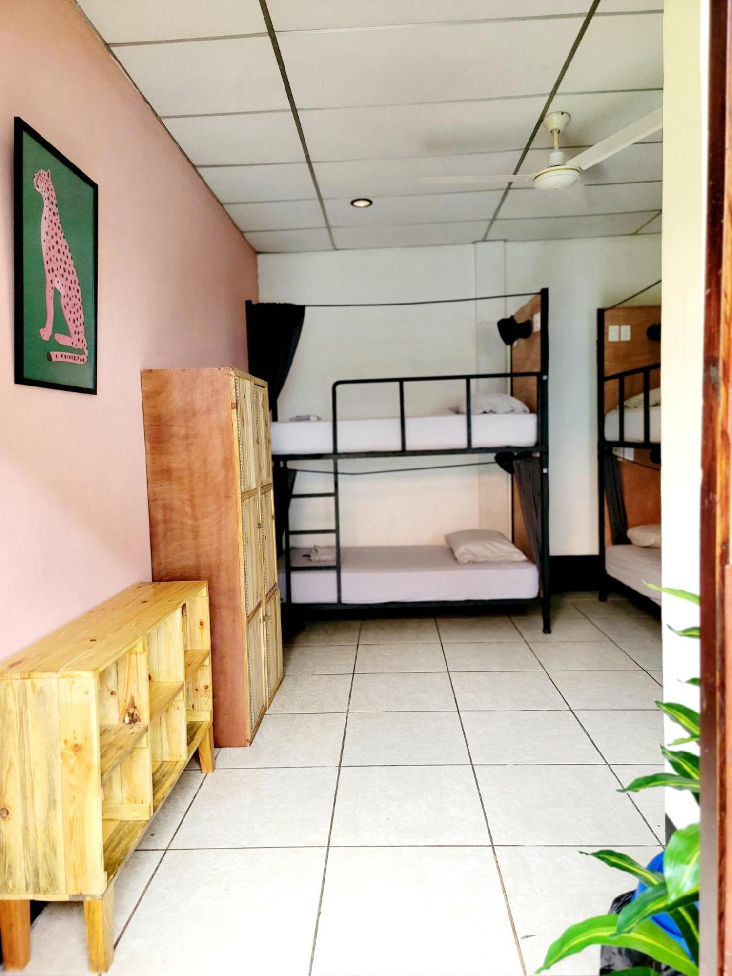 Poco A Poco Hostel León Екстериор снимка