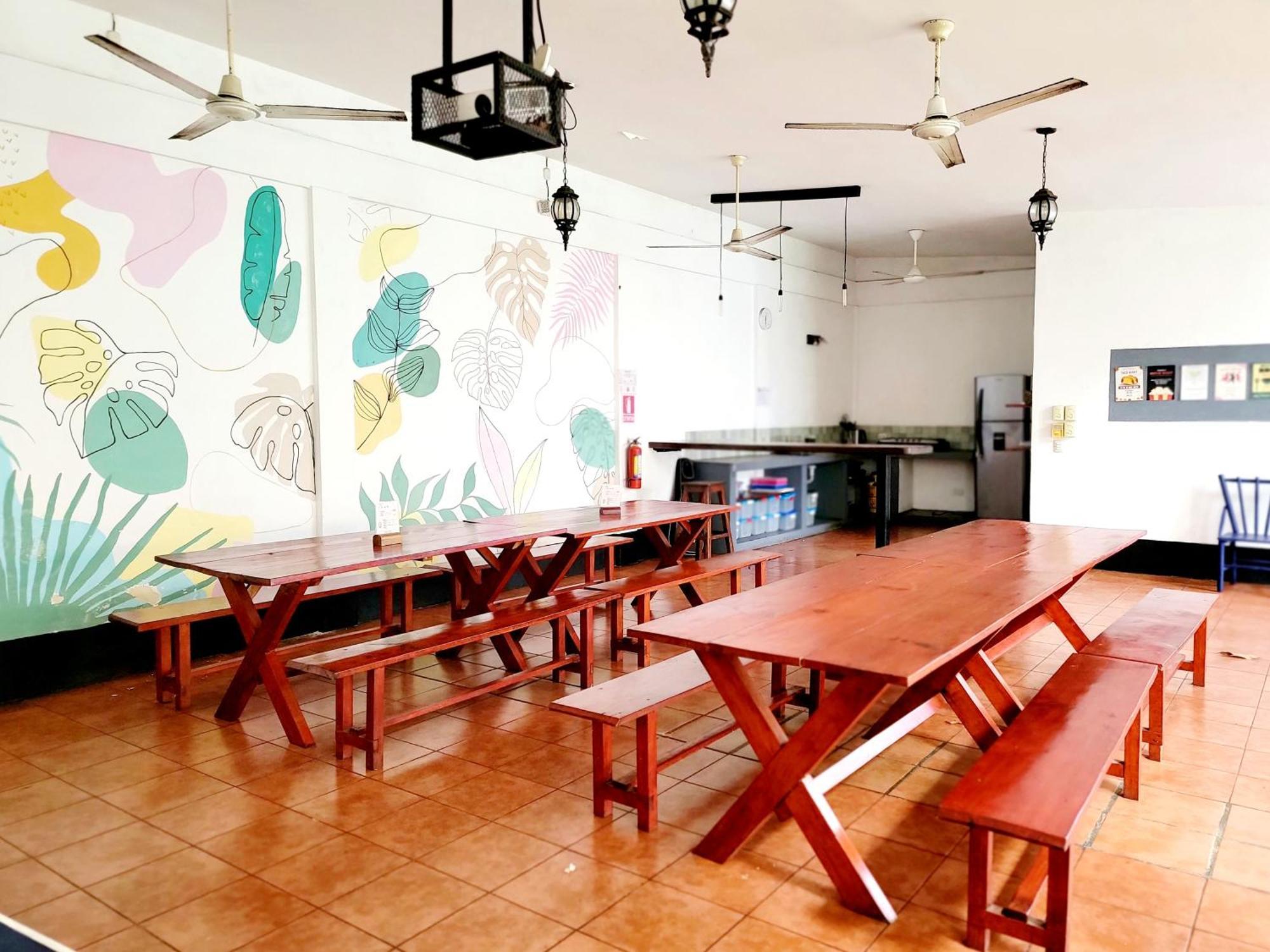 Poco A Poco Hostel León Екстериор снимка